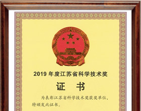 江蘇省科學(xué)技術(shù)獎(jiǎng)二等獎(jiǎng)